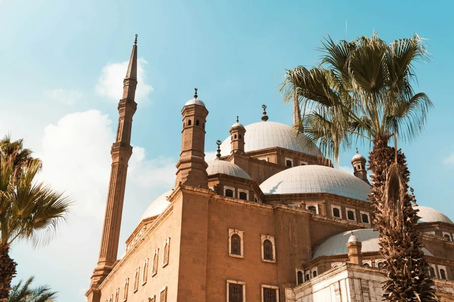 Cairo Discovery Tour