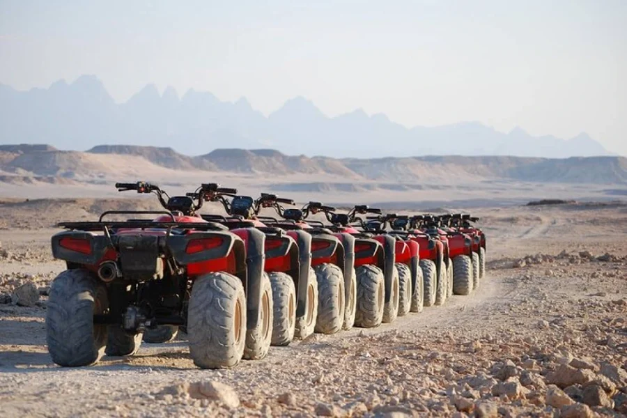 Marsa Allam SUPER SAFARI
