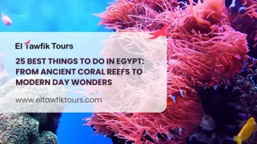 25 Best Things To Do in Egypt – From Ancient Coral Reefs to Modern Day Wonders
